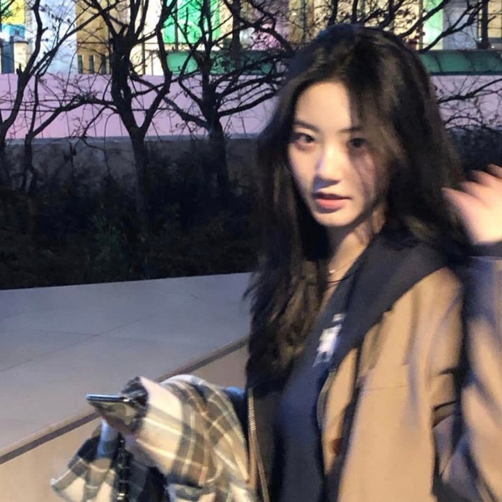 爬树的穆瑞
