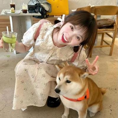 风尘艳侣